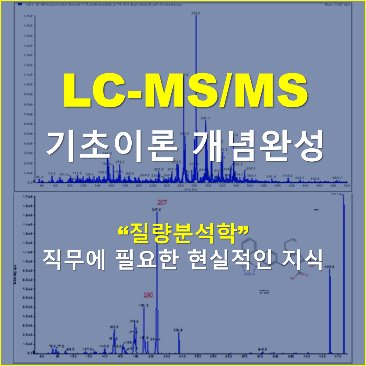 LC-MS/MS 개념완성 이론 및 실습 과정