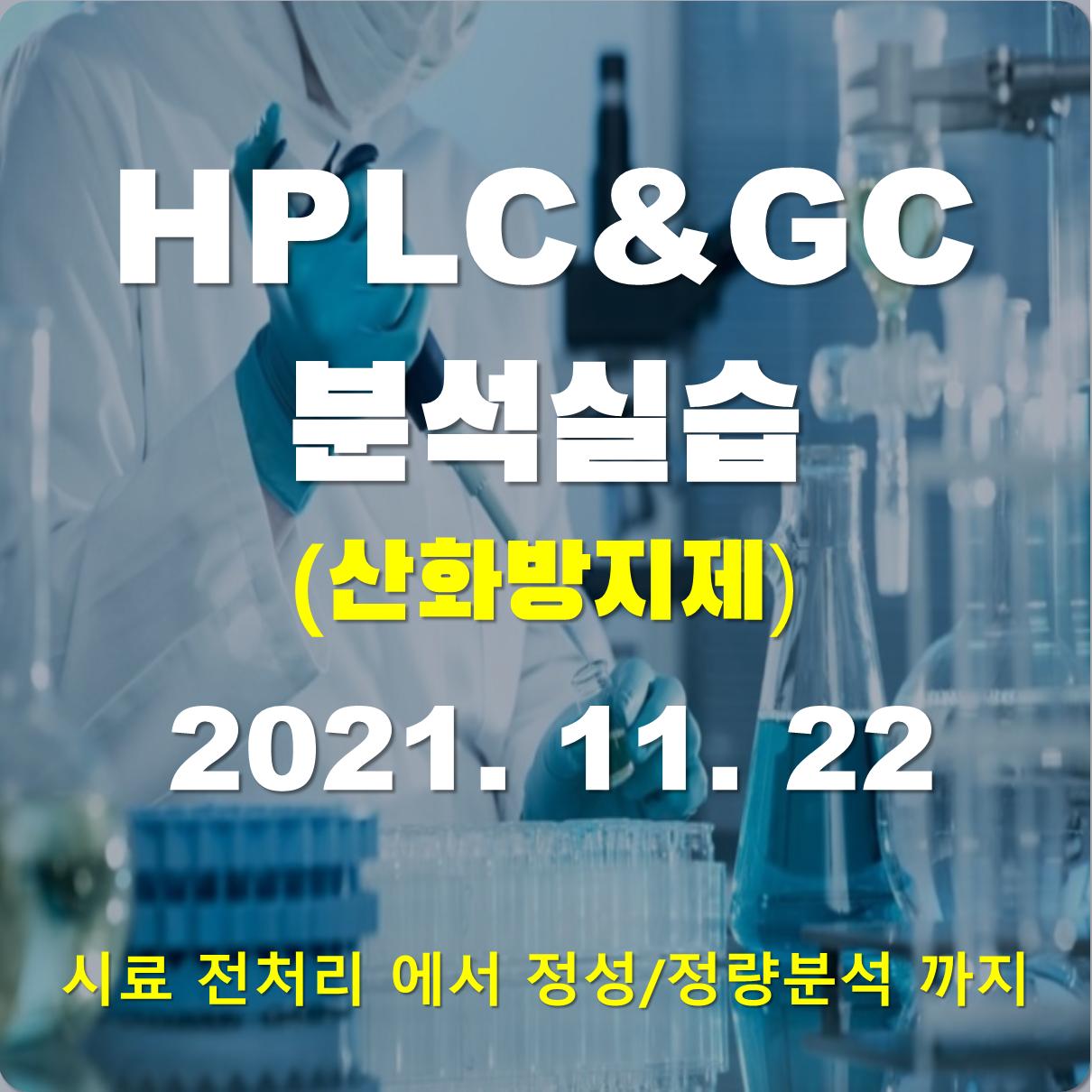 HPLC&GC 분석실습(산화방지제)