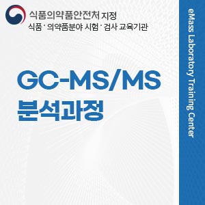 GC-MS/MS 분석과정